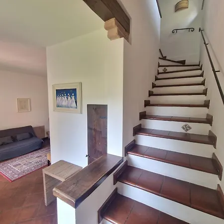 Apartment Campo Al Lupo Livorno